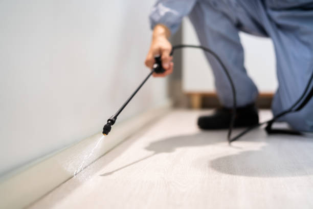 Licensed Mosquito Control service in Polson, MT - Show Me Pest Control