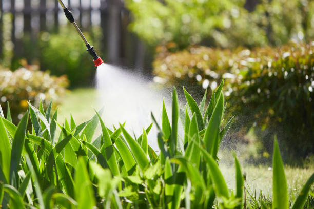 24/7 Emergency Mosquito Control experts in Polson, MT