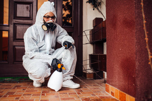 Reliable Mosquito Control contractor in Polson, MT by Show Me Pest Control