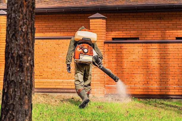 Top rated local Mosquito Control specialists in Polson, MT